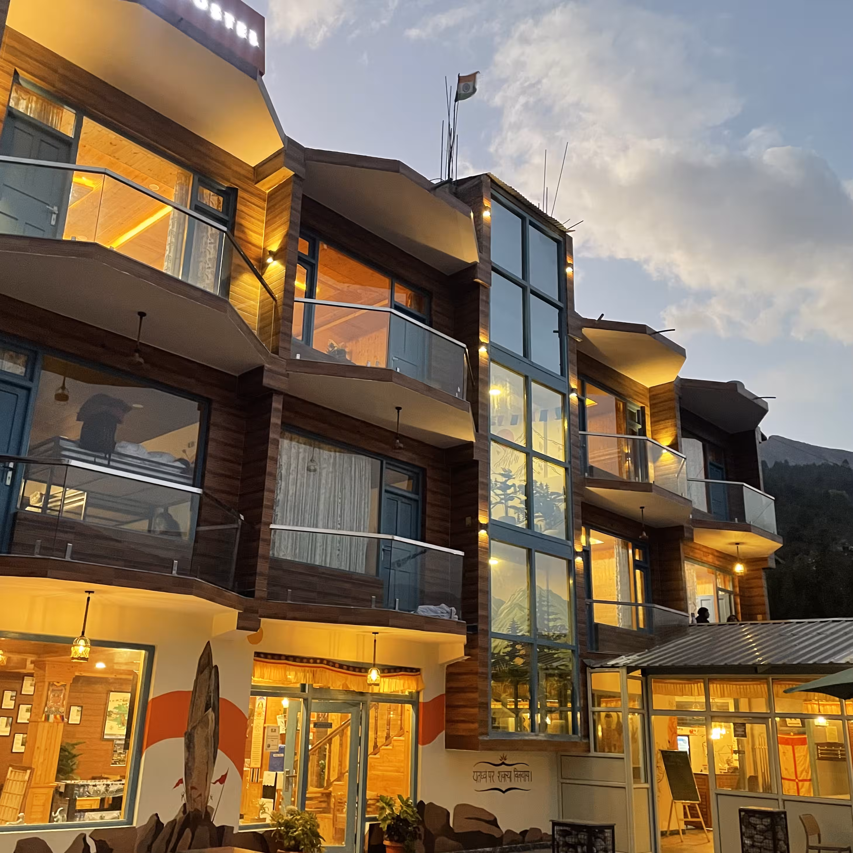 Lights Camera Action